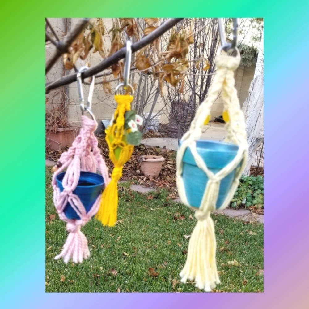 Tiny Macrame Plant Hanger
